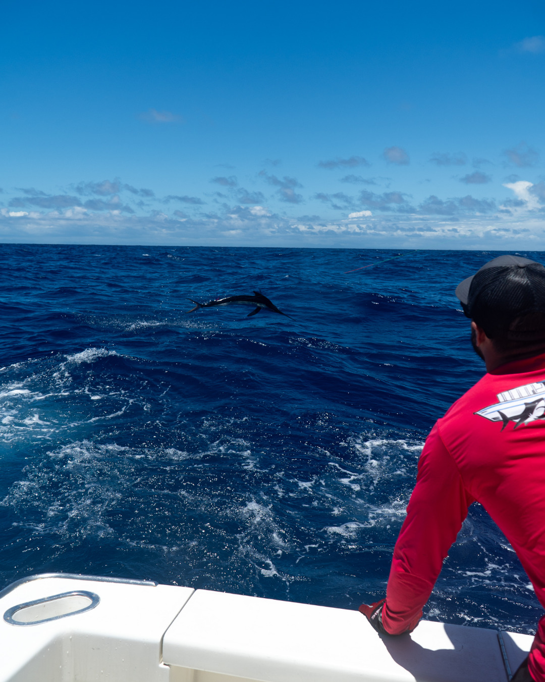 Yellowfin Instagram 2